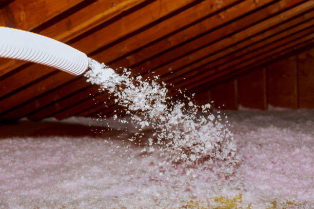 Best Attic Insulation Installation  in Mountain City, TN
