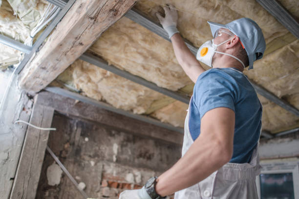 Best Insulation Inspection Services  in Mountain City, TN