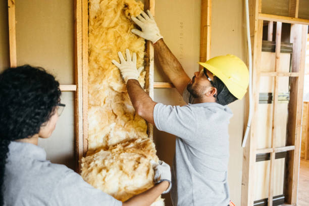 Best Professional Insulation Contractor  in Mountain City, TN