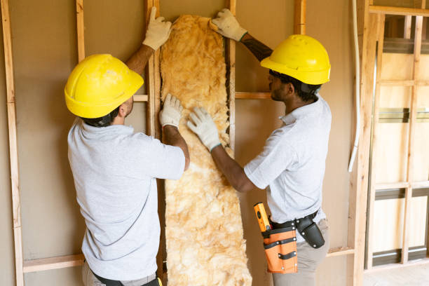 Best Local Insulation Services  in Mountain City, TN