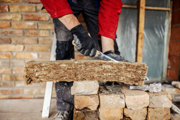 Best Best Insulation Companies  in Mountain City, TN
