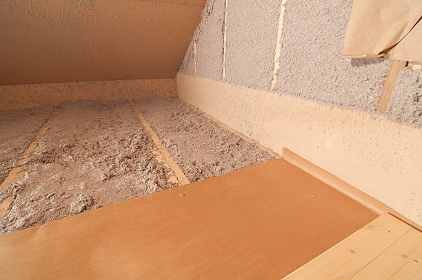 Best Home Insulation Services  in Mountain City, TN