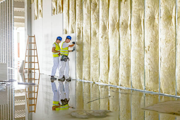 Best Insulation Removal  in Mountain City, TN